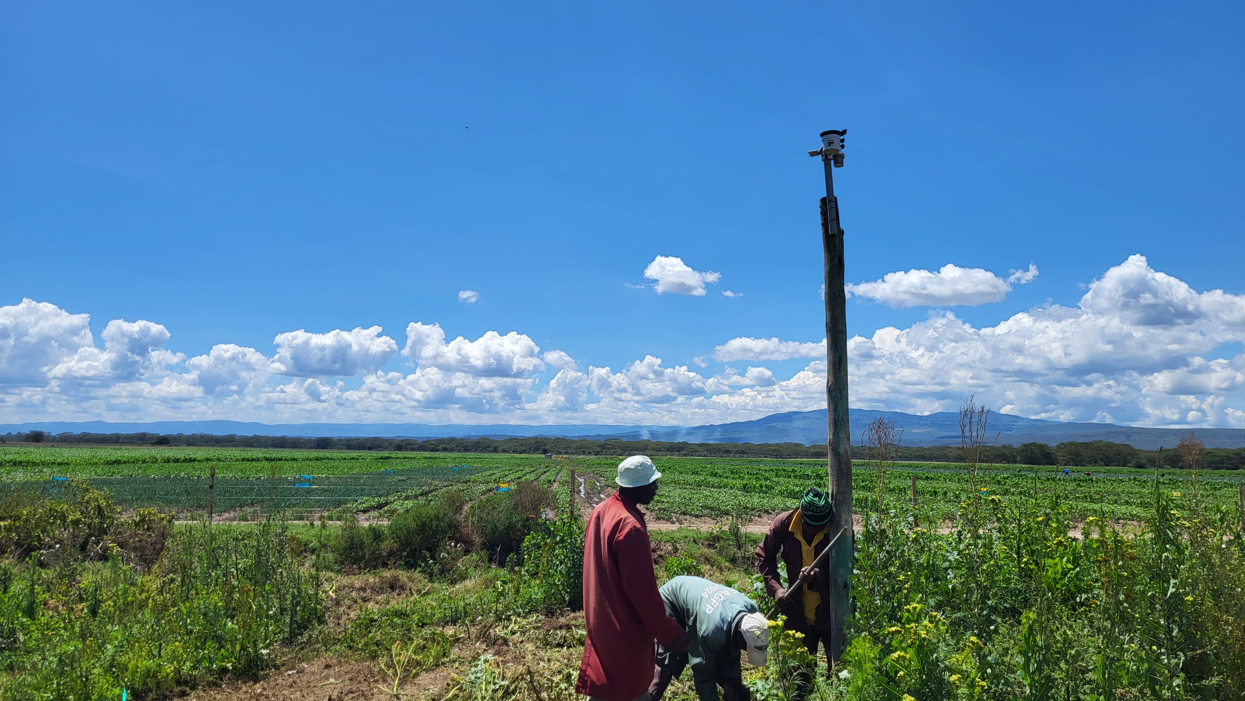 BLCK IoT deployment in Kenya